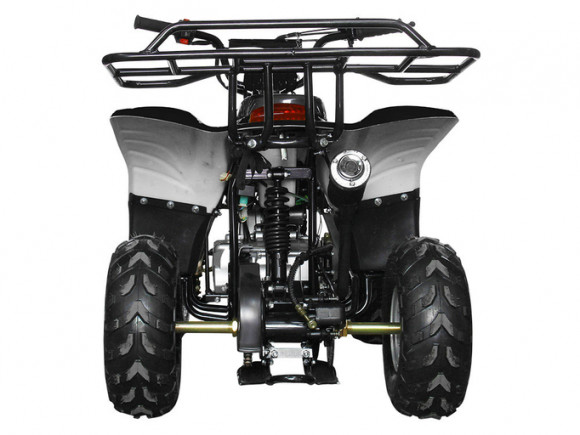 Детский квадроцикл Avantis Termit Junior 110сс 4т (110 кубов)