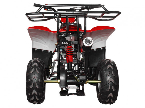 Детский квадроцикл Avantis Termit Junior 110сс 4т (110 кубов)