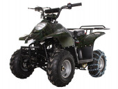 Детский квадроцикл Avantis Termit Junior 110сс 4т (110 кубов) Детский квадроцикл Avantis Termit Junior 110сс 4т (110 кубов)