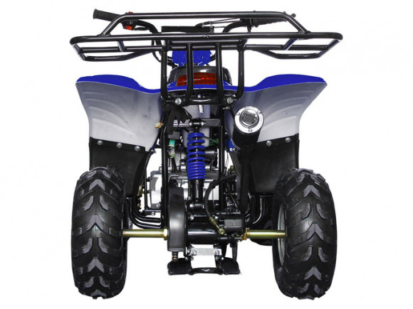 Детский квадроцикл Avantis Termit Junior 110сс 4т (110 кубов)