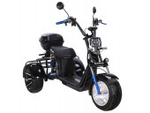 Электротрицикл SKYBOARD TRIKE BR60-3000 PRO FAST