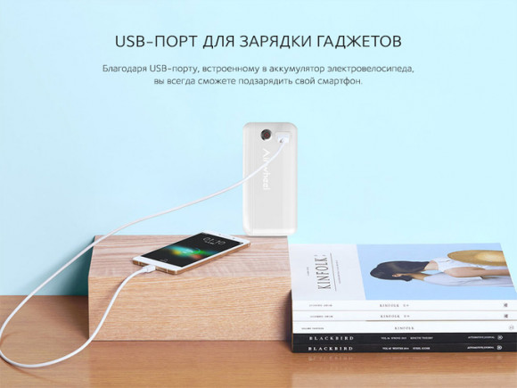 Электровелосипед Airwheel R8 (батарея LG 214,6 Вт*ч)