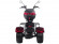 Электротрицикл SKYBOARD TRIKE BR80