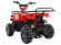 Детский квадроцикл Avantis Hunter Junior 4т (110 кубов)