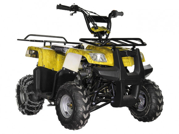 Детский квадроцикл Avantis Hunter Junior 4т (110 кубов)