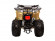 Подростковый квадроцикл Avantis Hunter 8 Lite 4т (125 кубов)