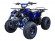 Подростковый бензиновый квадроцикл ATV Classic 8 (125 куб. см.) Подростковый бензиновый квадроцикл ATV Classic 8 (125 куб. см.)