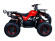 Подростковый бензиновый квадроцикл ATV Classic 8 (125 куб. см.) Подростковый бензиновый квадроцикл ATV Classic 8 (125 куб. см.)
