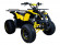 Подростковый бензиновый квадроцикл ATV Classic 8 (125 куб. см.) Подростковый бензиновый квадроцикл ATV Classic 8 (125 куб. см.)