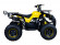 Подростковый бензиновый квадроцикл ATV Classic 8 (125 куб. см.) Подростковый бензиновый квадроцикл ATV Classic 8 (125 куб. см.)