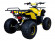 Подростковый бензиновый квадроцикл ATV Classic 8 (125 куб. см.) Подростковый бензиновый квадроцикл ATV Classic 8 (125 куб. см.)