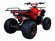 Подростковый бензиновый квадроцикл ATV Classic 8 (125 куб. см.) Подростковый бензиновый квадроцикл ATV Classic 8 (125 куб. см.)