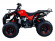 Подростковый бензиновый квадроцикл ATV Classic 8 (125 куб. см.) Подростковый бензиновый квадроцикл ATV Classic 8 (125 куб. см.)