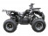 Подростковый бензиновый квадроцикл ATV Classic 8 (125 куб. см.) Подростковый бензиновый квадроцикл ATV Classic 8 (125 куб. см.)