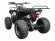 Подростковый бензиновый квадроцикл ATV Classic 8 (125 куб. см.) Подростковый бензиновый квадроцикл ATV Classic 8 (125 куб. см.)