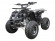 Подростковый бензиновый квадроцикл ATV Classic 8 (125 куб. см.) Подростковый бензиновый квадроцикл ATV Classic 8 (125 куб. см.)