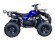Подростковый бензиновый квадроцикл ATV Classic 8 (125 куб. см.) Подростковый бензиновый квадроцикл ATV Classic 8 (125 куб. см.)