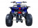 Подростковый бензиновый квадроцикл ATV Classic 8 (125 куб. см.) Подростковый бензиновый квадроцикл ATV Classic 8 (125 куб. см.)