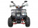 Детский квадроцикл Avantis Racer Lite (110 кубов)