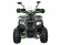 Детский квадроцикл Avantis Racer Lite (110 кубов)