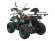 Детский квадроцикл Avantis Racer Lite (110 кубов)