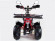 Квадроцикл бензиновый MOTAX MIKRO 110 cc NEW Квадроцикл бензиновый MOTAX MIKRO 110 cc NEW