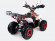 Квадроцикл бензиновый MOTAX MIKRO 110 cc NEW Квадроцикл бензиновый MOTAX MIKRO 110 cc NEW