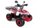 Квадроцикл бензиновый MOTAX MIKRO 110 cc NEW Квадроцикл бензиновый MOTAX MIKRO 110 cc NEW