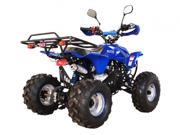 Бензиновый квадроцикл Avantis Termit 8 LUX (125 кубов)